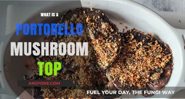 Exploring the Culinary Uses and Benefits of Portobello Mushroom Tops