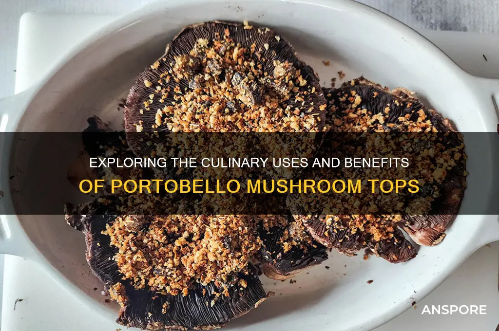 what is a portobello mushroom top