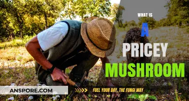 Mushrooming Prices: Costly Fungi