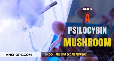 Magic Mushrooms: Understanding Psilocybin's Power