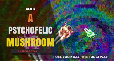 Magic Mushrooms: A Psychofelic Experience