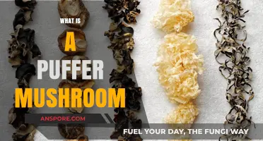 Explore the Magical World of Puffer Mushrooms