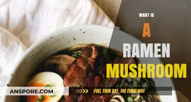 Explore the Magic of Ramen Mushrooms