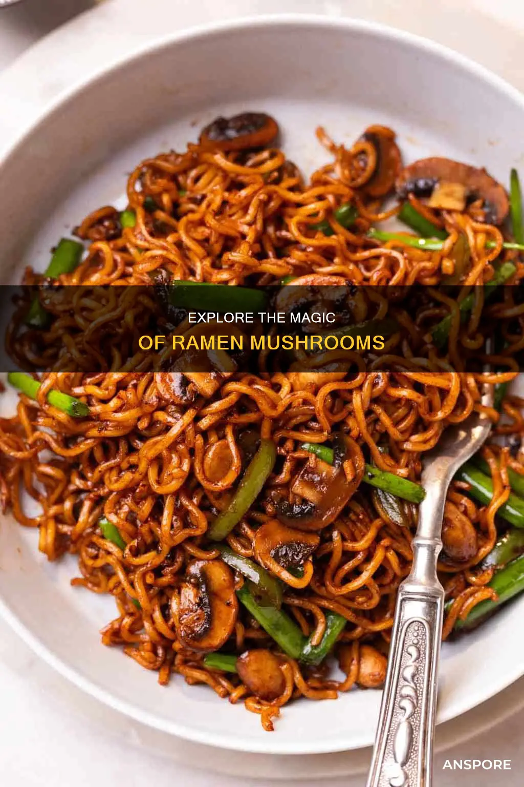 what is a ramen mushroom