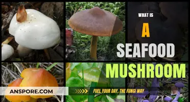 The Ultimate Guide to Seafood Mushrooms