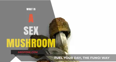 The Magical Sex Mushroom: Enhancing Intimacy