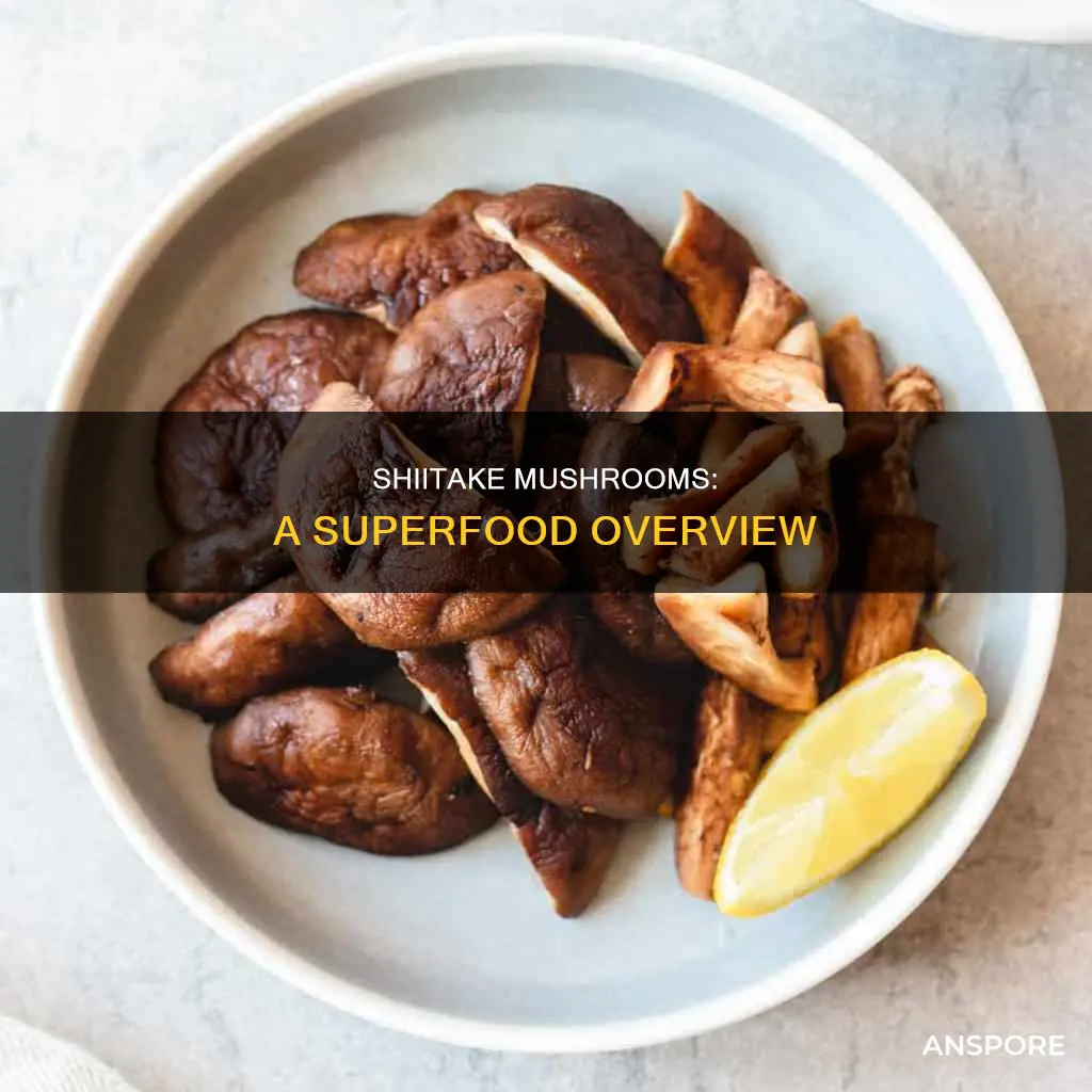 what is a shiitake mushroom