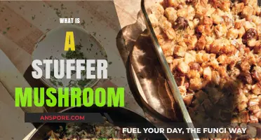 The Magic of Stuffed Mushrooms: A Culinary Adventure