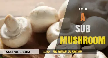 Mushroom Magic: Uncover the Secrets of Sub Mushrooms