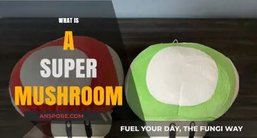 The Super Mushroom's Magical Powers