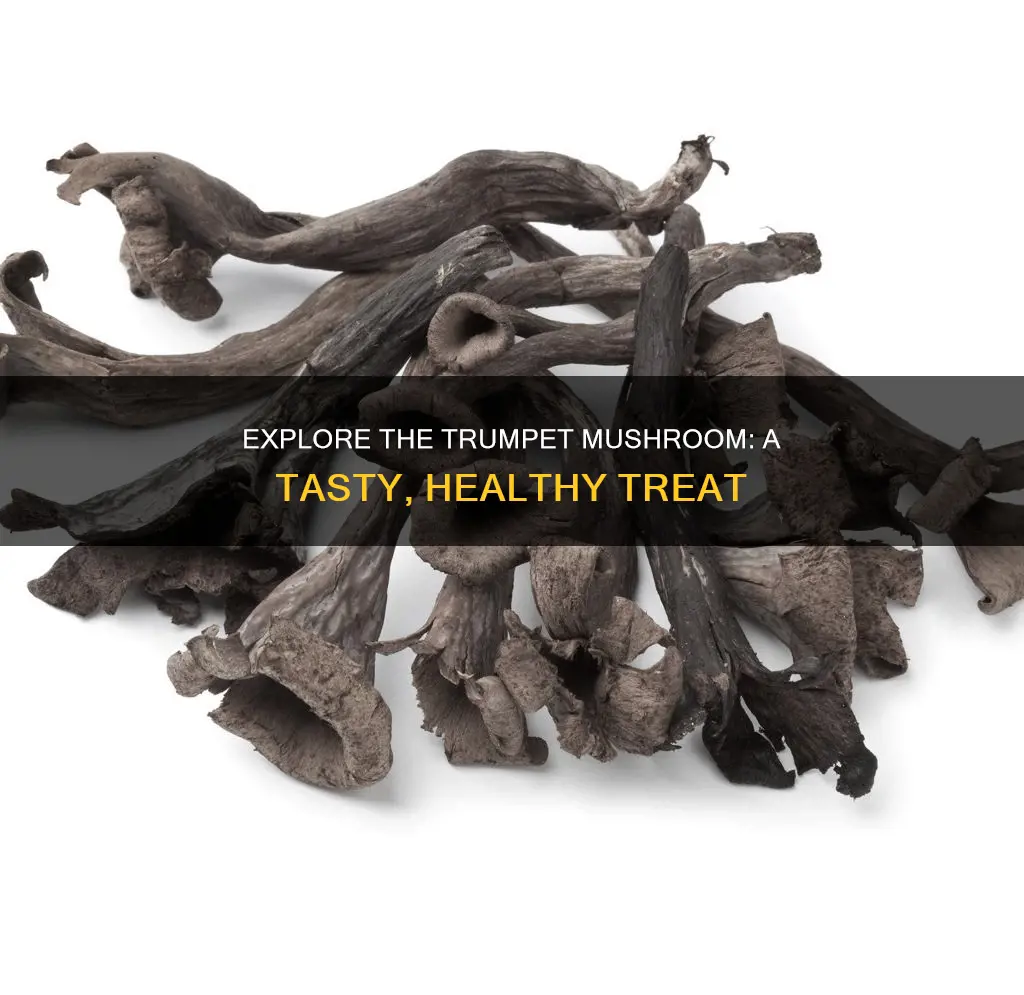 what is a trumpet mushroom