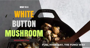Exploring the Versatile White Button Mushroom: A Culinary Staple Unveiled
