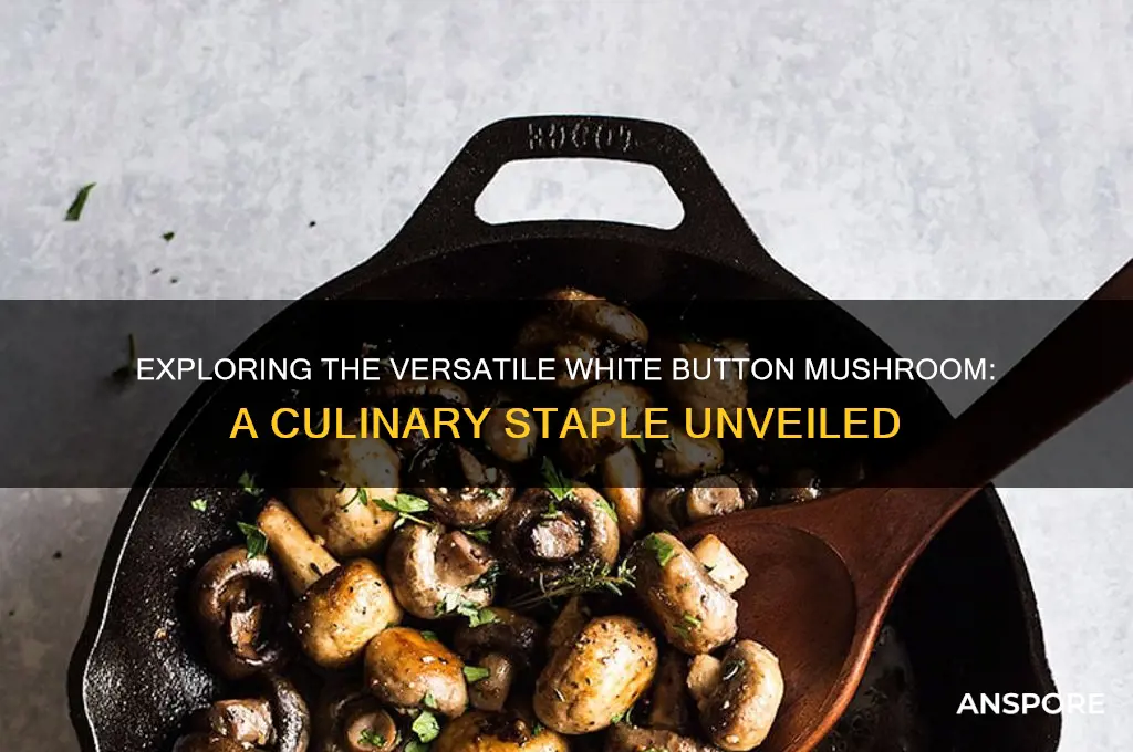 what is a white button mushroom