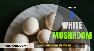 White Mushrooms: What Are They?