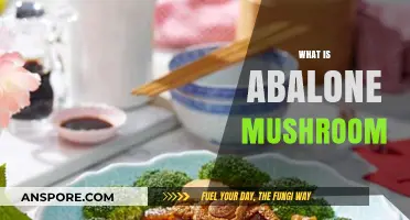 Abalone Mushroom: A Tasty, Healthy Treat
