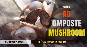 Mushroom Compost: What's the Deal?