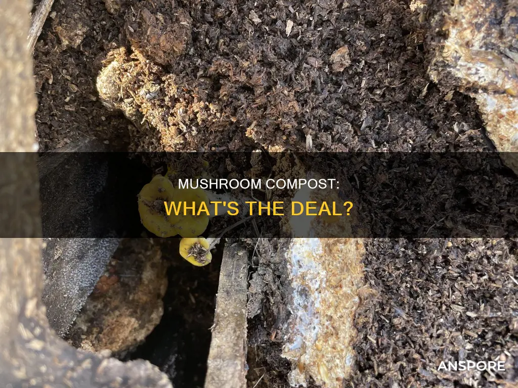 what is ac omposte mushroom