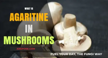 Agaritine: The Poisonous Compound in Mushrooms
