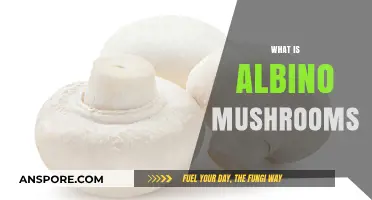 Understanding Albino Mushrooms: What Are They?