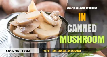 FDA Regulations: What’s Allowed in Canned Mushrooms Explained