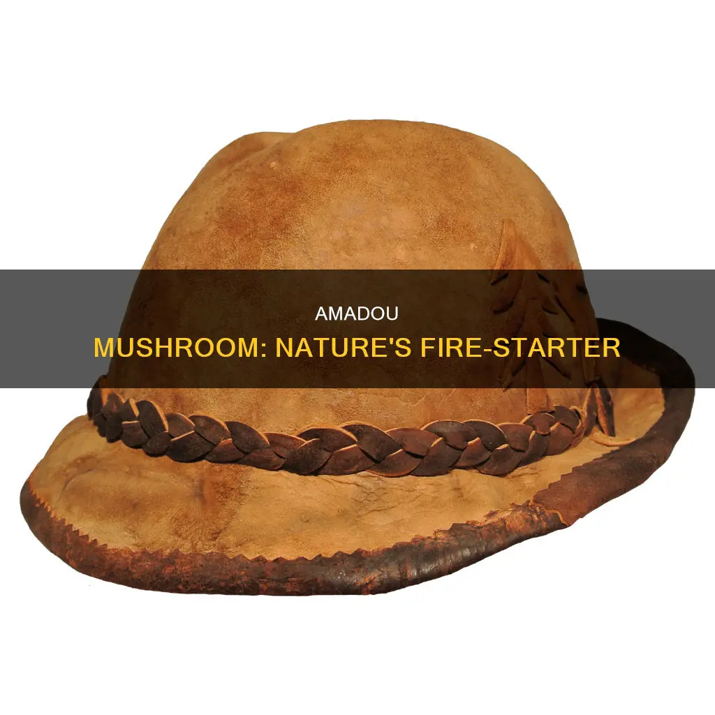 what is amadou mushroom