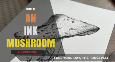 The Ink Mushroom: Nature's Unique Wonder