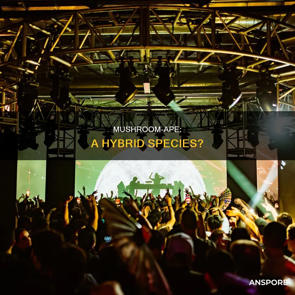 what is ape mushroom