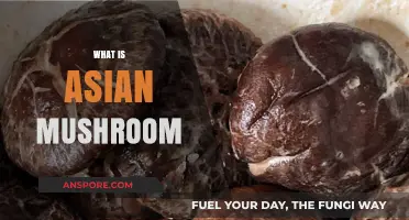 The Magic of Asian Mushrooms