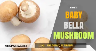 Bella Mushroom Secrets: What's So Special?