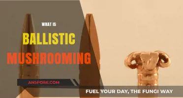 Understanding Ballistic Mushrooming: A Dangerous and Deadly Phenomenon