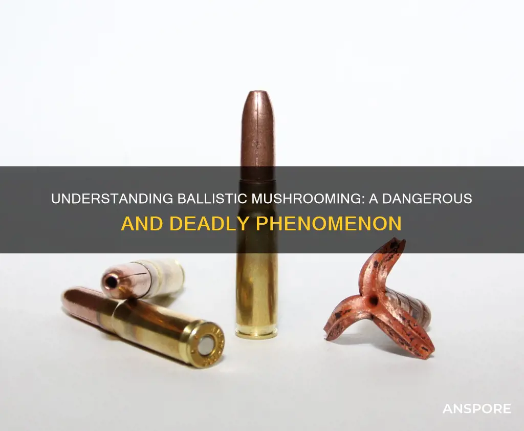 what is ballistic mushrooming