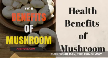 Mushrooms: Superfood Benefits for Your Health
