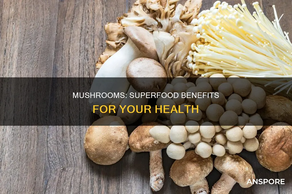 what is benefits of mushroom