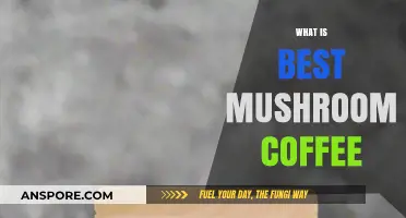Mushroom Coffee: Best Blends for a Boost