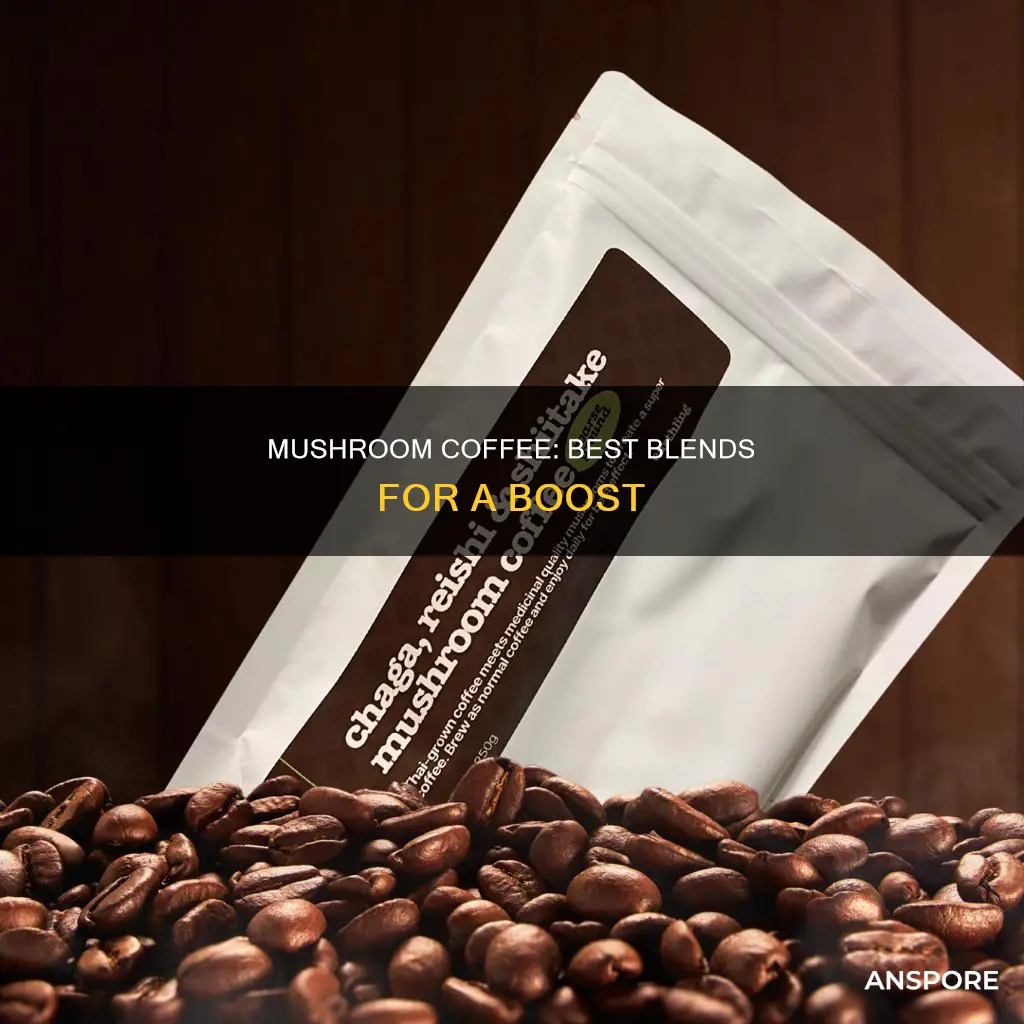what is best mushroom coffee