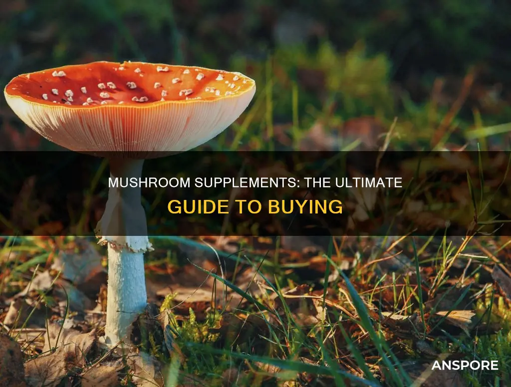 what is best mushroom supplement