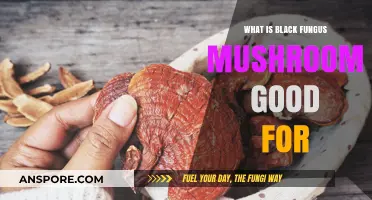 Black Fungus Mushroom Benefits: Health Uses and Nutritional Value Explained