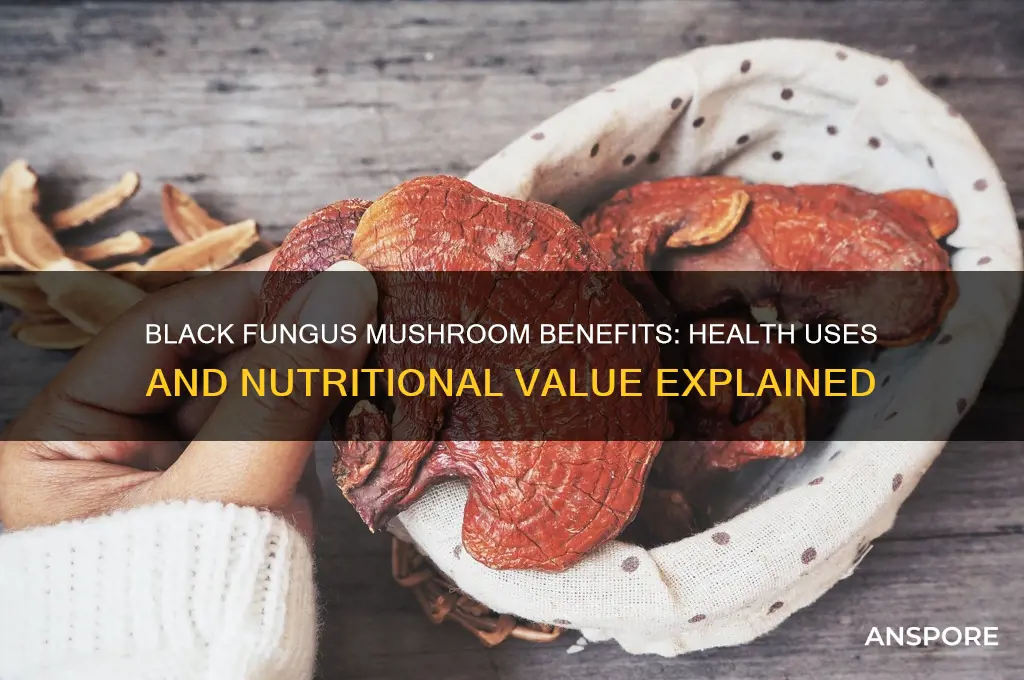what is black fungus mushroom good for