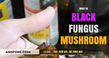 Black Fungus Mushroom: Nature's Superfood