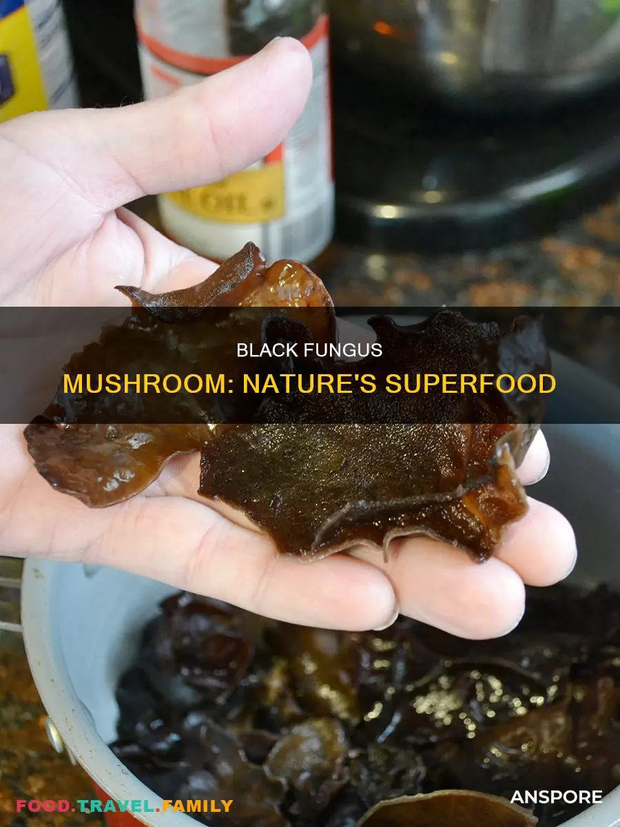 what is black fungus mushroom