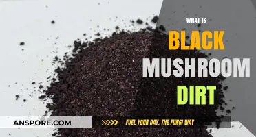 Black Mushroom Dirt: What's the Deal?