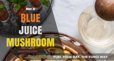 Blue Juice Mushroom: Nature's Magical Elixir