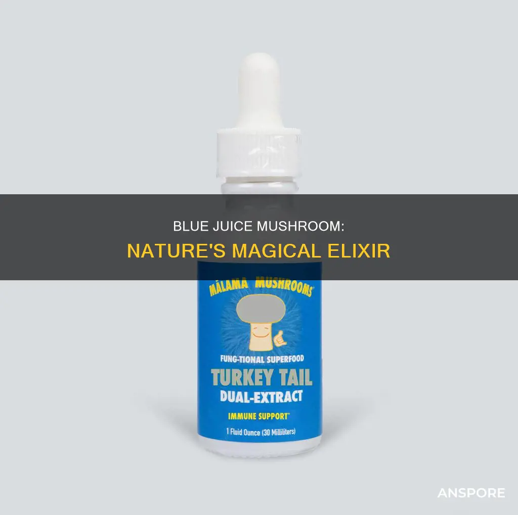 what is blue juice mushroom