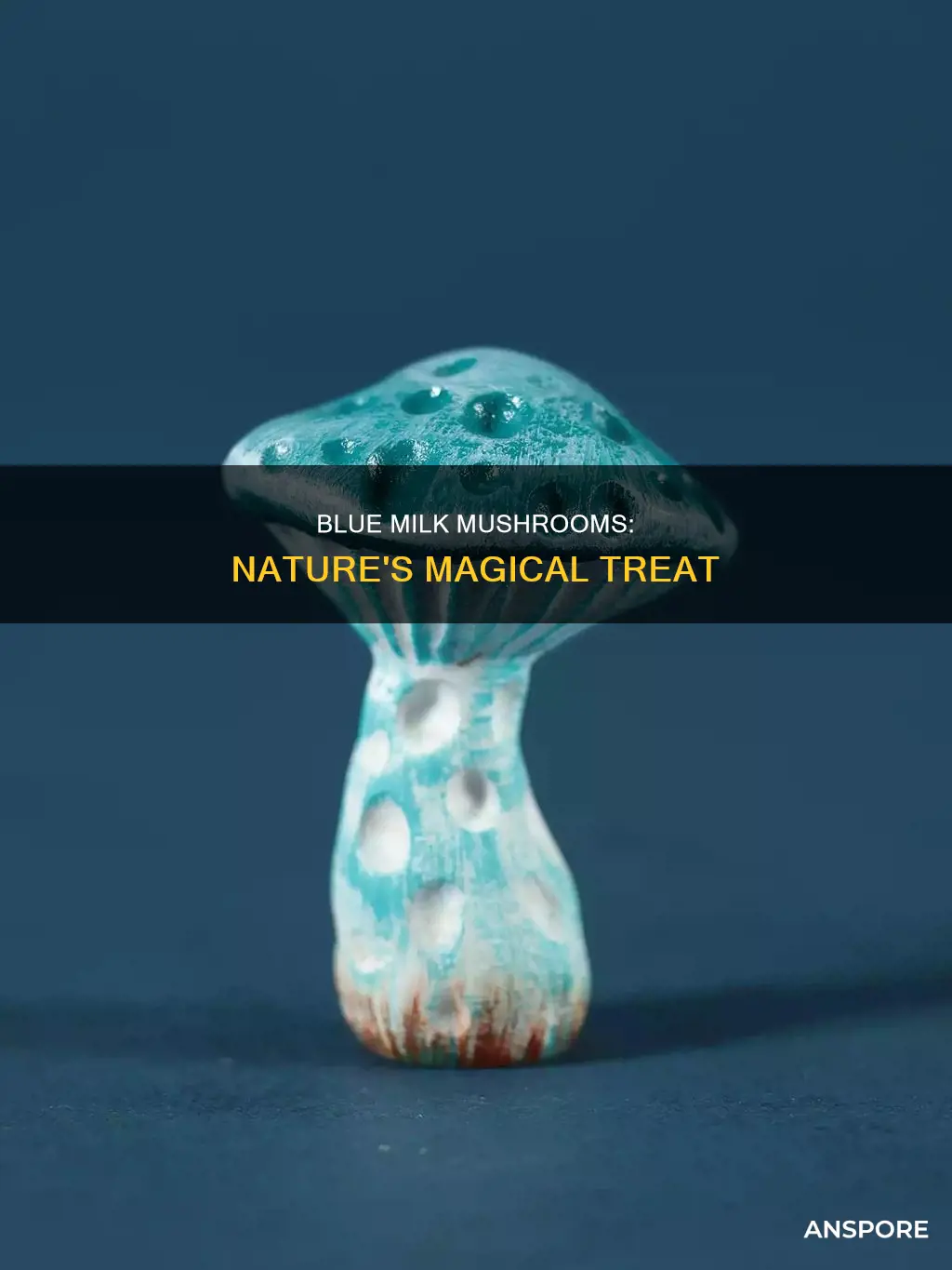 what is blue milk mushroom