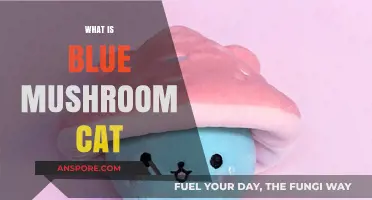 The Blue Mushroom Cat Mystery: What's the Deal?