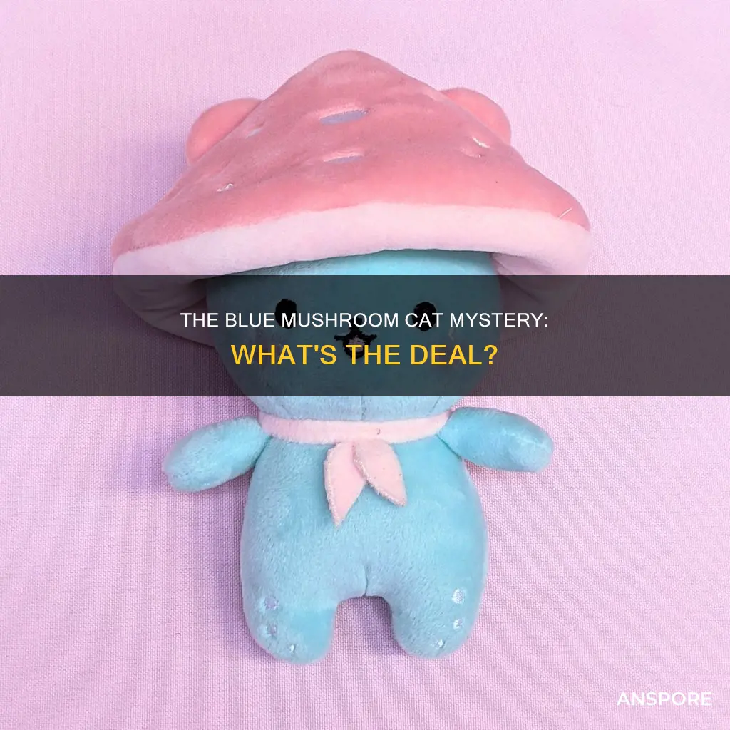 what is blue mushroom cat