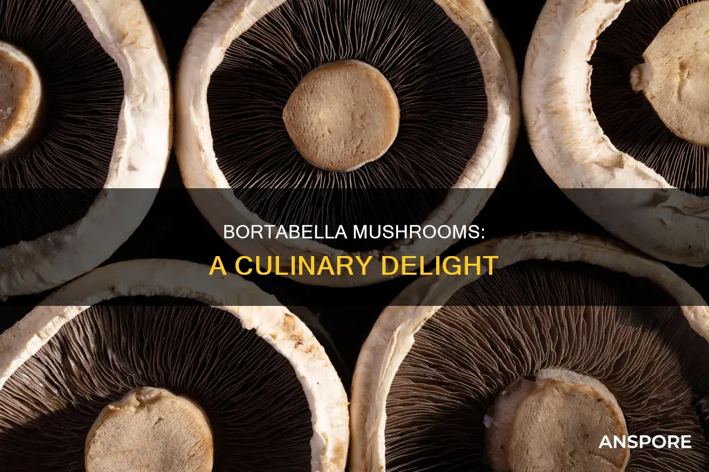 what is bortabella mushrooms