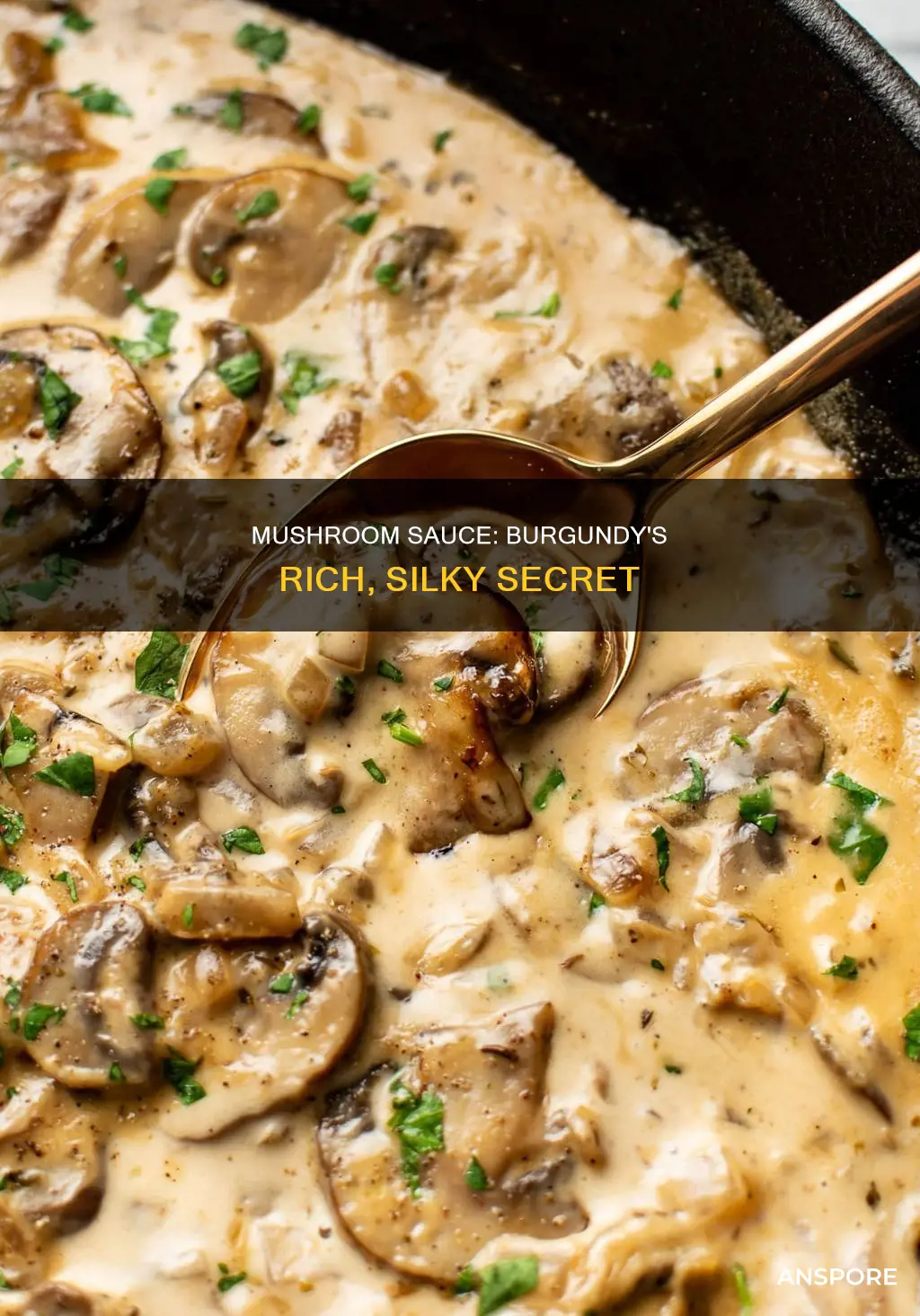 what is burgundy mushroom sauce