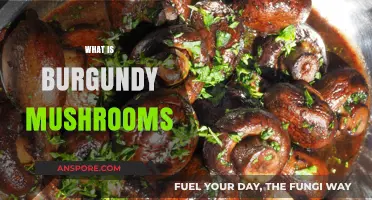 Burgundy Mushrooms: Nature's Rare Delicacy