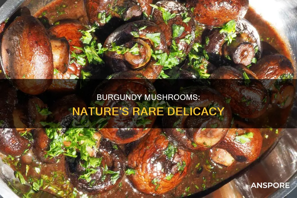 what is burgundy mushrooms